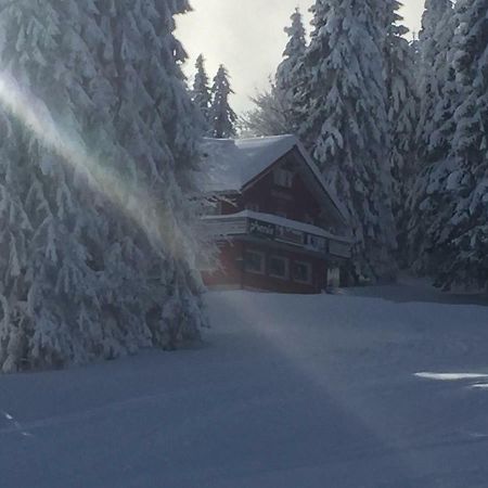 Auerhahn Hotel Feldberg  Exterior foto